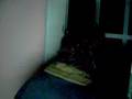 Asesino Serial Parte 1