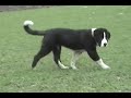 Kara 14 weeks and Marek 13 weeks