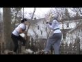 videos de King Arthur