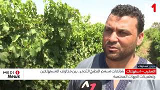 شائعات تسمم البطيخ الأحمر.. بين مخاوف المستهلكين وتطمينات الجهات المختصة