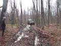 Просмотр видео