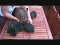 British Giant Bunnies 23rd july 2008