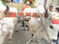 Repique de tambores