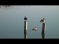 朝の袋公園 park of morning