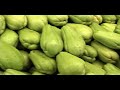 west_chicago_store.flv west_chicago_store.flv