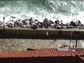 Parga Παργα