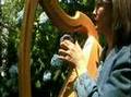 clip video P.G. Six #4 For 2 Wire-Strung Harps