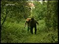 Zdenek Izer - Sranda 21.avi