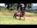 HARAS K2. CERENA QUALISUL