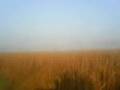 S5021589.AVI