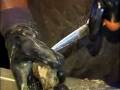 videos de Louisiana Farm Bureau: Oyster Power