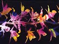 [re:jazz] - Inner City Life