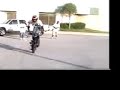 LRG 50 STUNT L.A