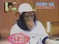 komik-video-komik-hayvanlar-.html