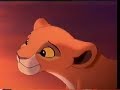 le roi lion