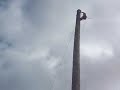Demming Log Show Demming Log Show