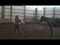 Circle Game (canter)