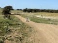 Comparativo 450cc Arraiolos