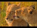 Love in nature