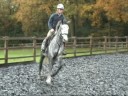 videos de 15.2hh, 5 years, grey mare
