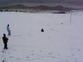 nevada y pantano de fondo