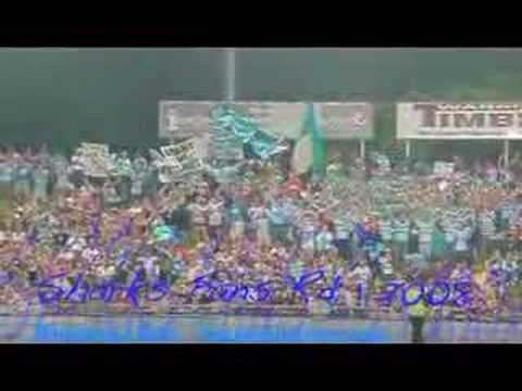 sharksrd1