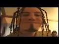 Head Tribute Head Tribute