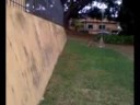 *Jumper Boys Orl�ndia*    Wallspin \"esticado\"