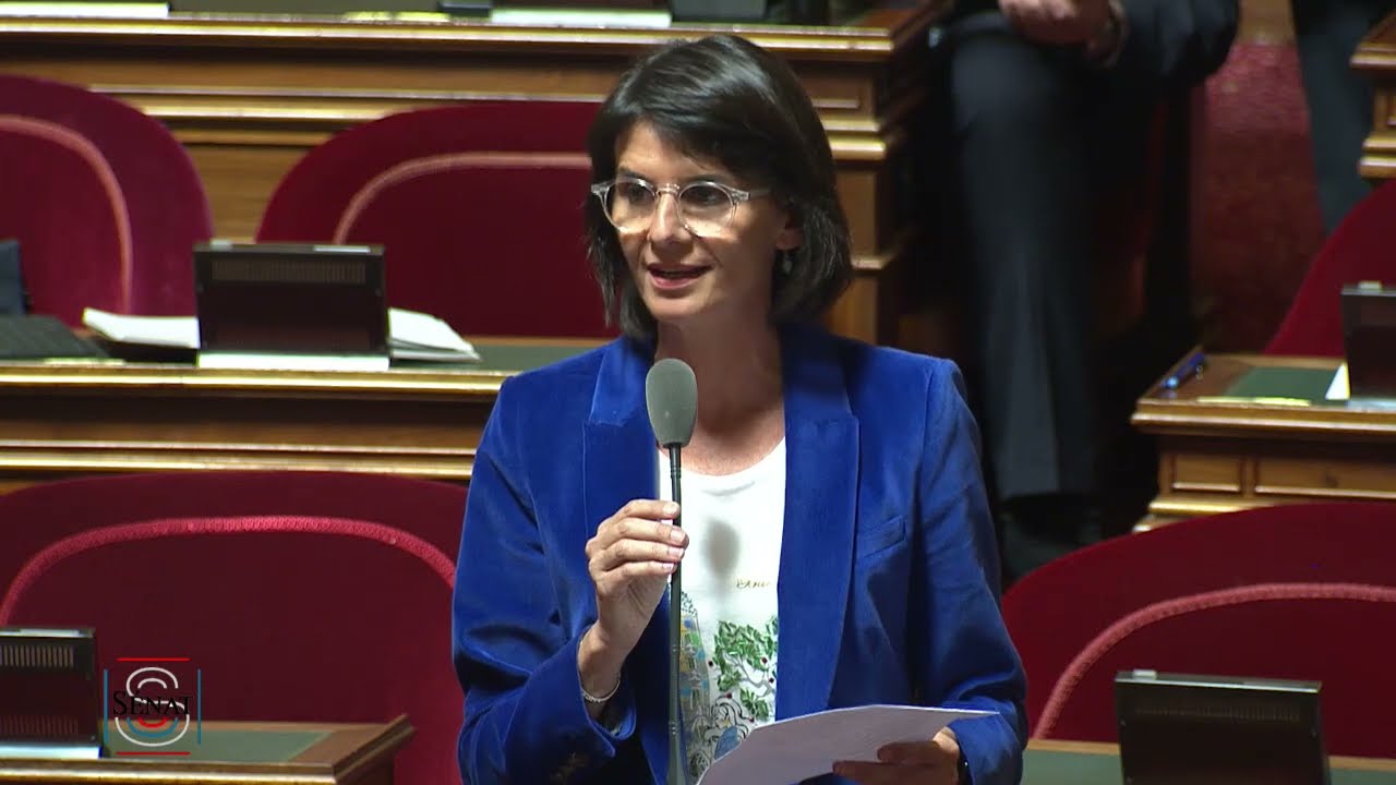 Intervention dans le débat sur l'enseignement professionnel - 14/11/2022