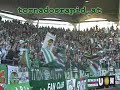 Sturm Graz - Rapid Wien , 02.03.2008
