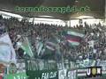 Sturm Graz - Rapid Wien , 02.03.2008