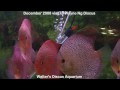 Guarda video