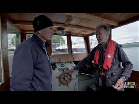 Loch - Jeremy Wade's investigation reveals how the legendary lake got its name. | For more River Monsters visit http://animal.discovery.com/tv-shows/river-monsters/...