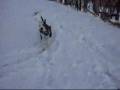 aytonweight_0001.wmv
