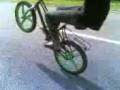videos de REMPiT JUNiOR.