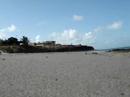 beach buggu