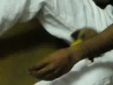 Osama Part2