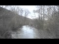 Guarda video