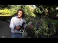Close-up Photography with Ring Flash