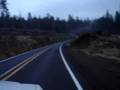 Grandpa and Billy go clear cutting in Oregon
