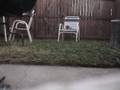 videos de Ion Virtue Board **New**