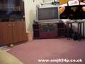 videos de Walkera 4 RC Helicopter - Controller Included in the Video