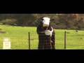 Primo Supa Shake - 'THICK MILK'