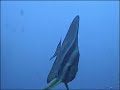P-Buoy Kwajalein