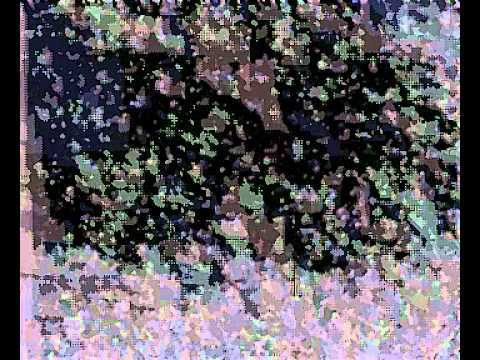 how to take pictures of stars