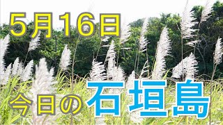 5月16日の石垣島天気