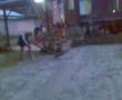 tanam mayat dpn umah
