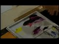 watercolor painting part 1