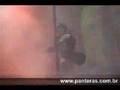Assistir ao vídeo