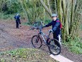 Leigh Woods 27th Jan 2008